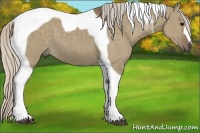 Horse Color:Silver Grullo Tobiano