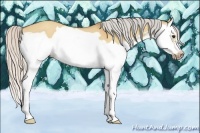 Horse Color:Silver Bay Dun Splash Frame 