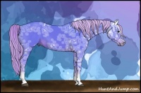 Horse Color:Watercolor White Spotted Liver Chestnut Ice