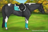 Horse Color:Black Tobiano Rabicano