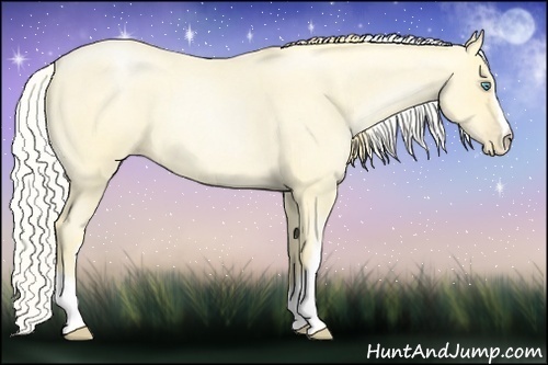 Horse Color:Buckskin Roan Pearl  and Silver Buckskin Roan Pearl 