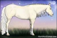Horse Color:Buckskin Roan Pearl  and Silver Buckskin Roan Pearl 