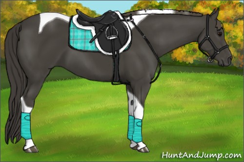 Horse Color:Smoky Black Tobiano 