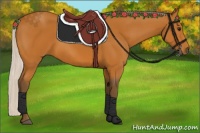 Horse Color:Silver Bay
