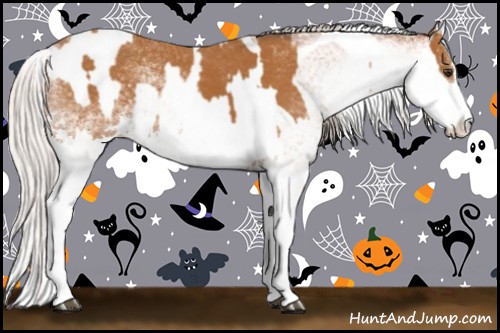 Horse Color:White Spotted Bay Splash Tobiano  and White Spotted Silver Bay Splash Tobiano 