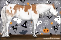 Horse Color:White Spotted Bay Splash Tobiano  and White Spotted Silver Bay Splash Tobiano 