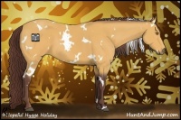 Horse Color:White Spotted Chocolate Buckskin