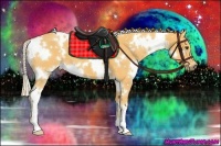 Horse Color:White Spotted Palomino 