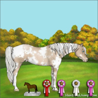 Horse Color:White Spotted Chocolate Palomino Pearl 