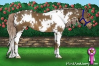 Horse Color:White Spotted Chocolate Palomino 