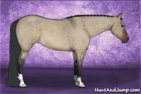 Horse Color:Brown Roan Dun 