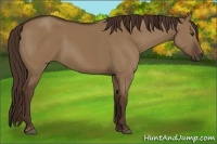 Horse Color:Liver Red Dun 