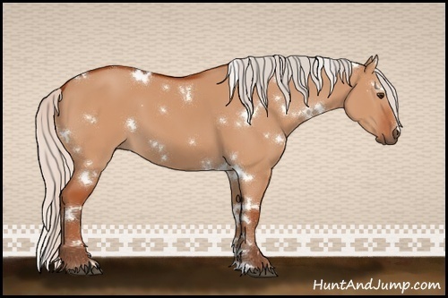Horse Color:White Spotted Silver Brown Dun