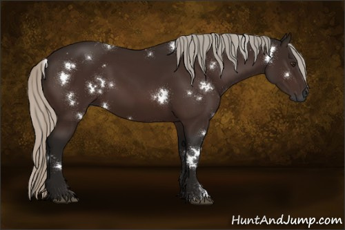 Horse Color:Gray White Spotted Silver Buckskin