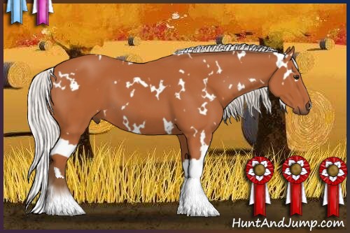 Horse Color:White Spotted Silver Bay