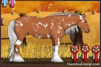 Horse Color:White Spotted Silver Bay 