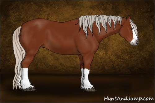 Horse Color:Gray Silver Bay Splash