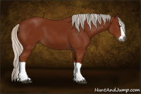 Horse Color:Gray Silver Bay Splash