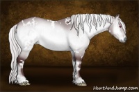 Horse Color:White Spotted Chocolate Silver Brown Chinchilla Onyx Brindle 