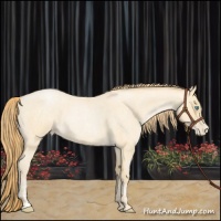 Horse Color:Buckskin Roan Pearl and Buckskin Roan Pearl