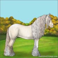 Horse Color:Chocolate Palomino Pearl Dun Tobiano Frame and Palomino Pearl Dun Tobiano Frame