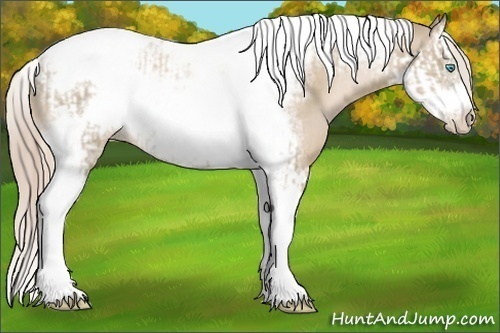 Horse Color:Chocolate Palomino Pearl Tobiano Frame  and Chocolate Palomino Pearl Splash Tobiano Frame 