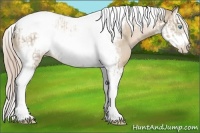 Horse Color:Chocolate Palomino Pearl Tobiano Frame  and Chocolate Palomino Pearl Splash Tobiano Frame 