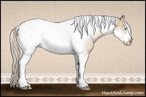Horse Color:Chocolate Palomino Pearl Tobiano Frame and Chocolate Palomino Pearl Tobiano Frame Rabicano