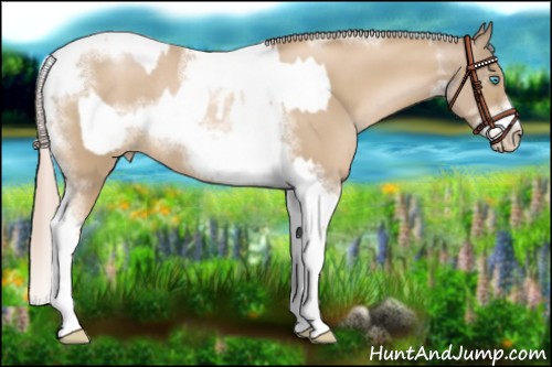 Horse Color:Chocolate Palomino Pearl Tobiano Frame and Chocolate Palomino Pearl Tobiano Frame Rabicano