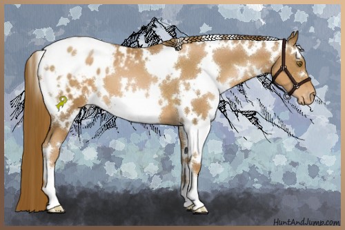 Horse Color:White Spotted Liver Chestnut Pearl Varnish
