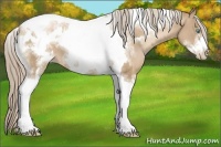 Horse Color:Chocolate Palomino Pearl Tobiano Frame and Chocolate Palomino Pearl Tobiano Frame