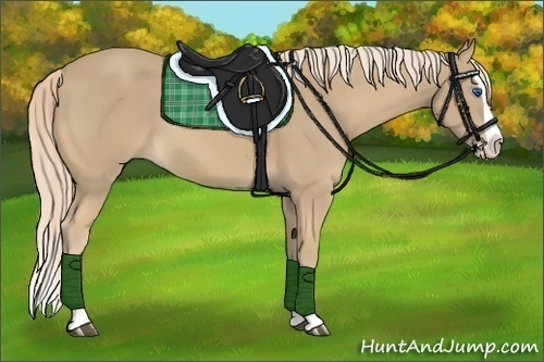 Horse Color:Palomino Splash 