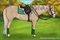 Horse Color:Palomino Splash 