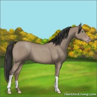 Horse Color:Classic Champagne Roan Mushroom 