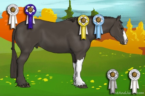 Horse Color:Smoky Black