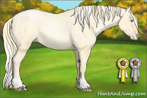 Horse Color:Buckskin Roan Pearl  and Silver Buckskin Roan Pearl 