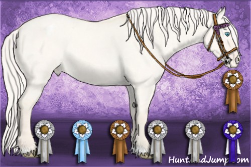 Horse Color:Cremello Dun Varnish 