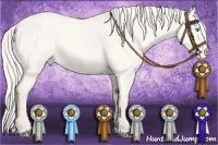 Horse Color:Cremello Dun Varnish