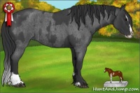 Horse Color:Blue Roan Sabino Splash and Blue Roan Sabino Splash Rabicano