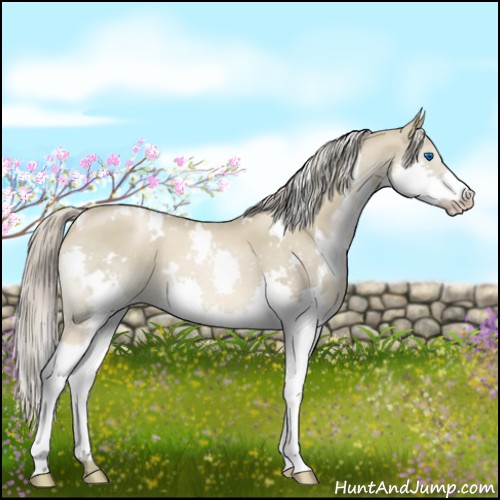 Horse Color:White Spotted Chocolate Palomino Pearl Splash