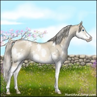 Horse Color:White Spotted Chocolate Palomino Pearl Splash