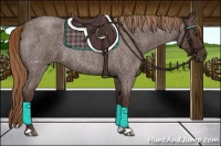 Horse Color:Liver Red Roan