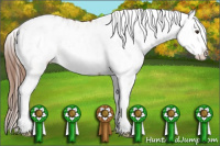Horse Color:White Spotted Chestnut Appaloosa