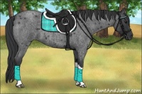 Horse Color:Blue Roan 