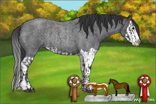 Horse Color:Blue Roan Sabino Splash  and Blue Roan Sabino Splash Rabicano 