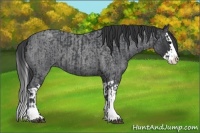 Horse Color:Blue Roan Sabino Splash and Blue Roan Sabino Splash