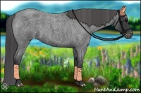 Horse Color:Blue Roan Varnish