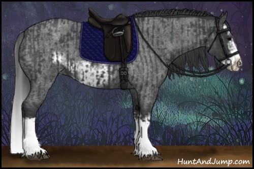 Horse Color:Blue Roan Sabino Splash  and Blue Roan Sabino Splash Frame 