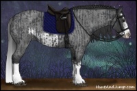 Horse Color:Blue Roan Sabino Splash  and Blue Roan Sabino Splash Frame 