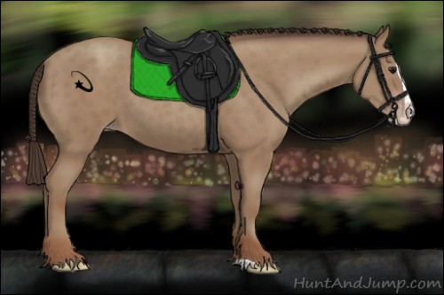 Horse Color:Unknown 
